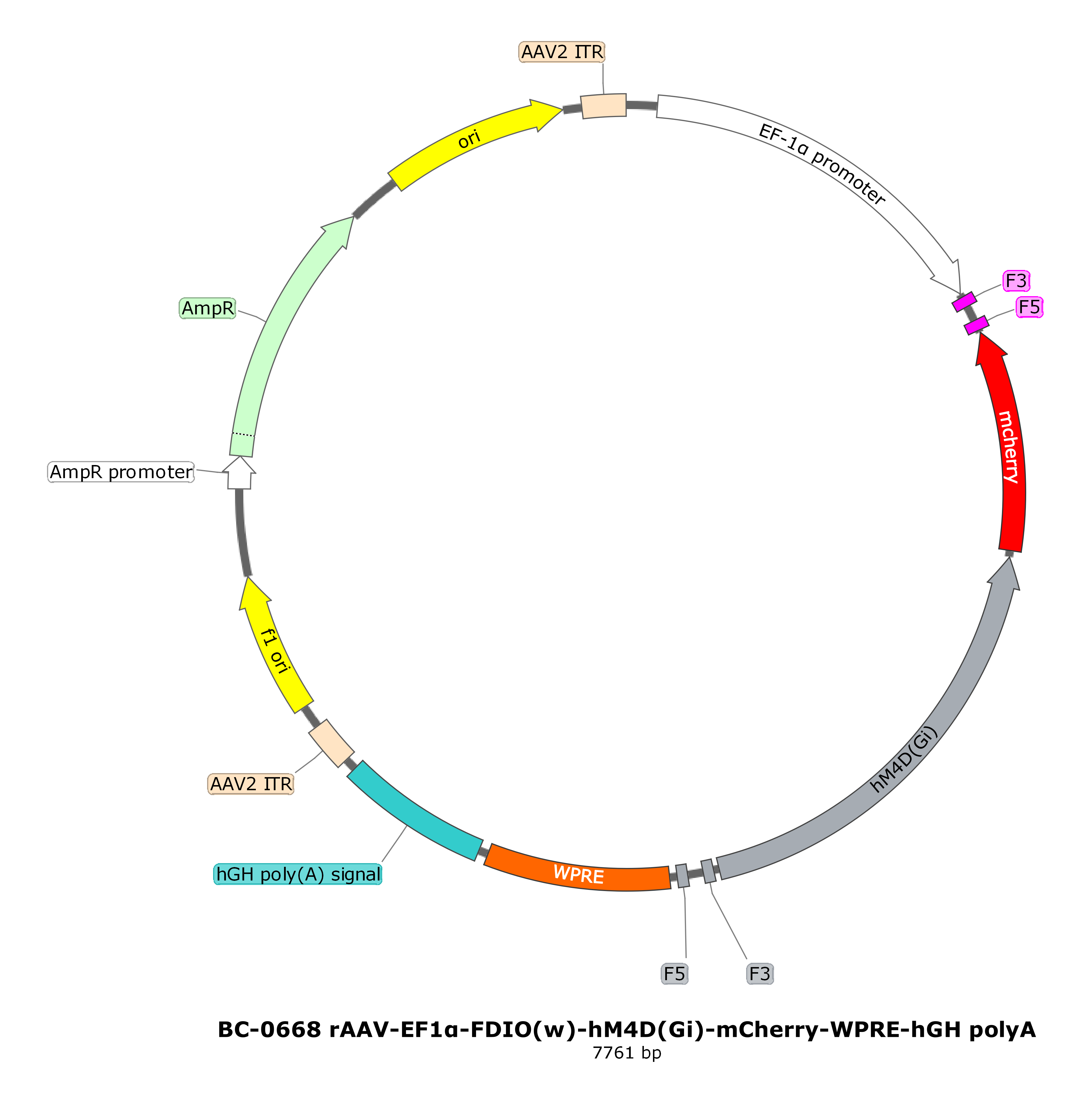 rAAV-EF1α-FDIO(w)-hM4D(Gi)-mCherry（内含测试报告）