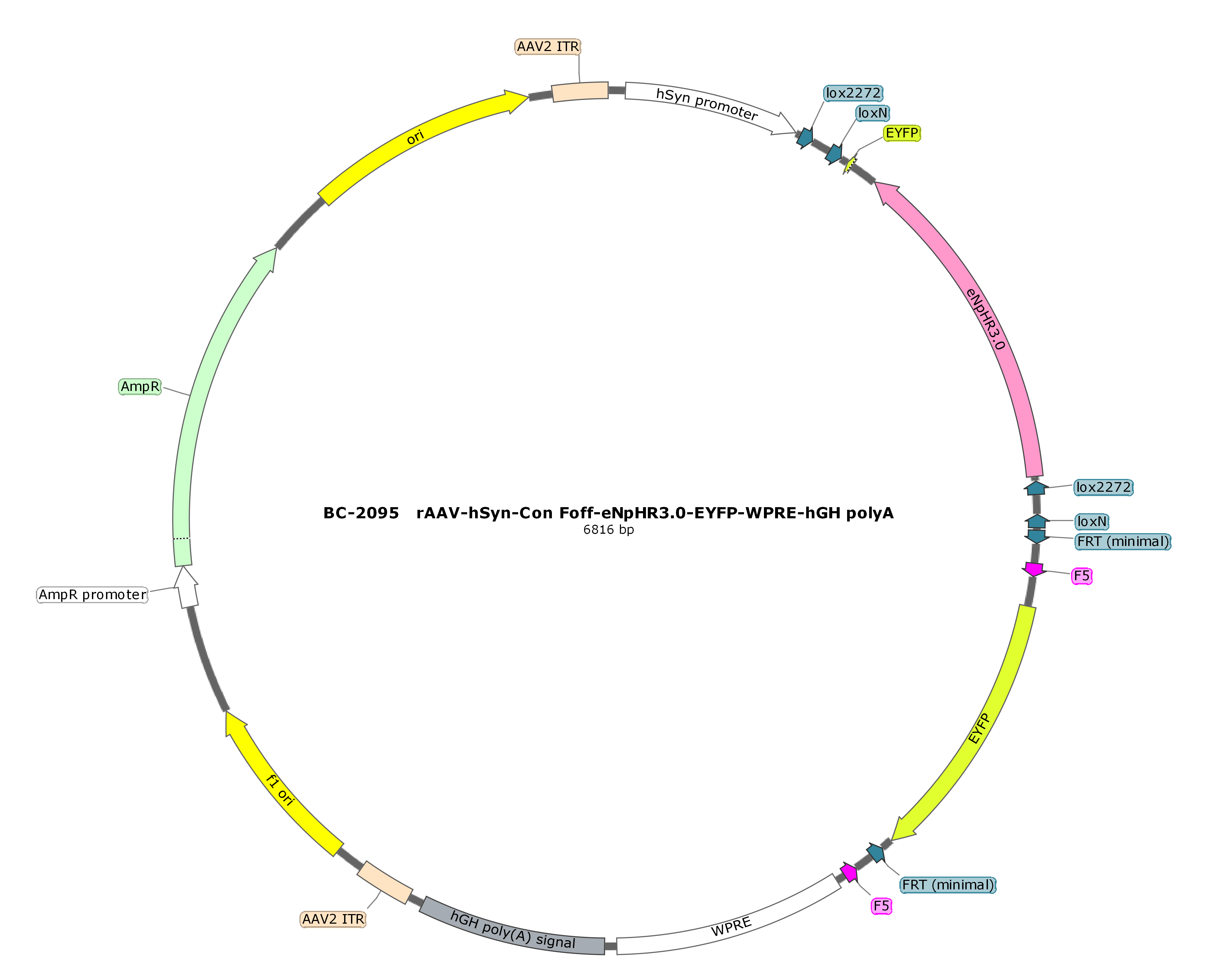 rAAV-hSyn-Con Foff-eNpHR3.0-EYFP  