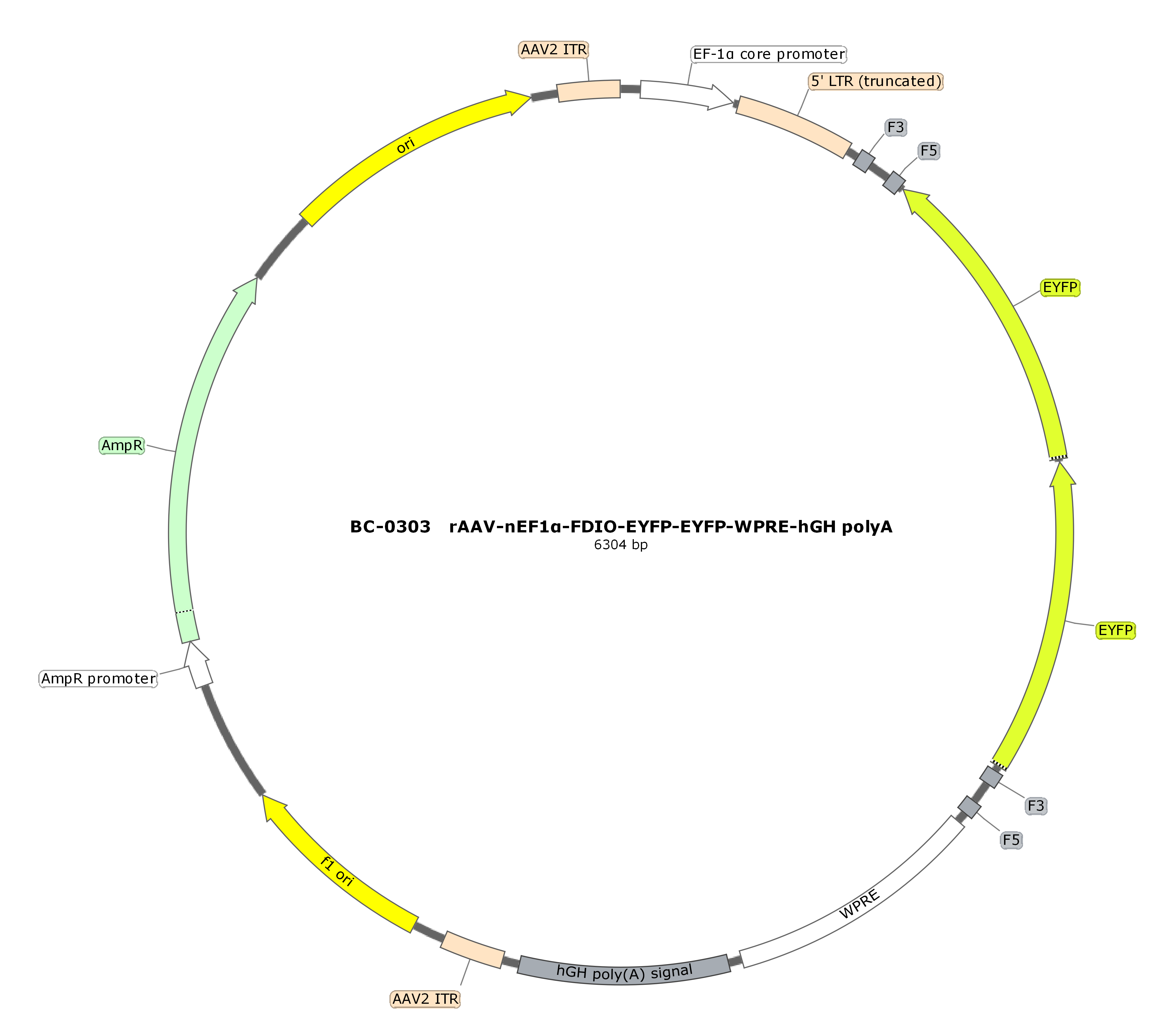 rAAV-nEF1α-FDIO-EYFP-EYFP  
