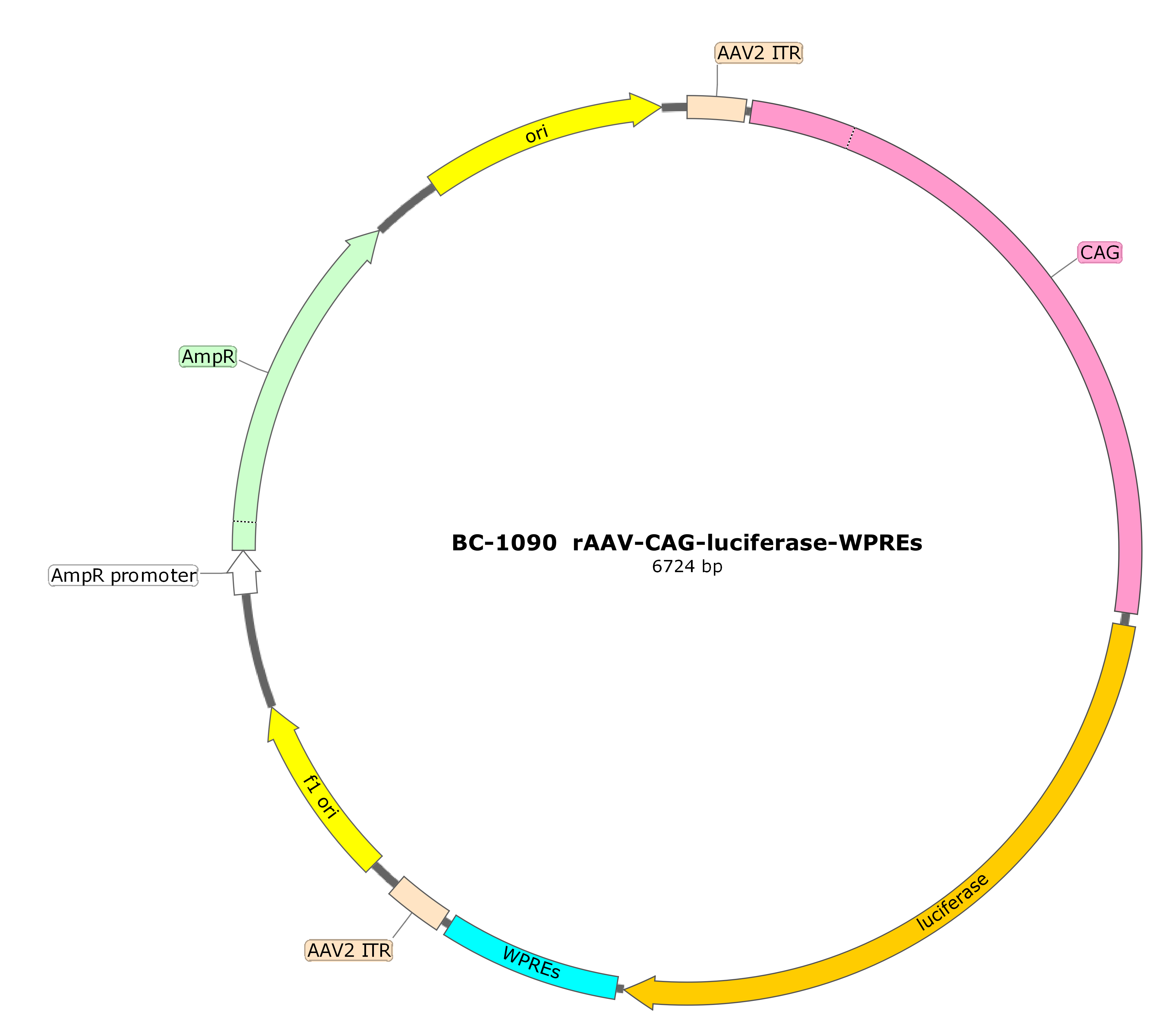 BC-1090 rAAV-CAG-Luciferase 