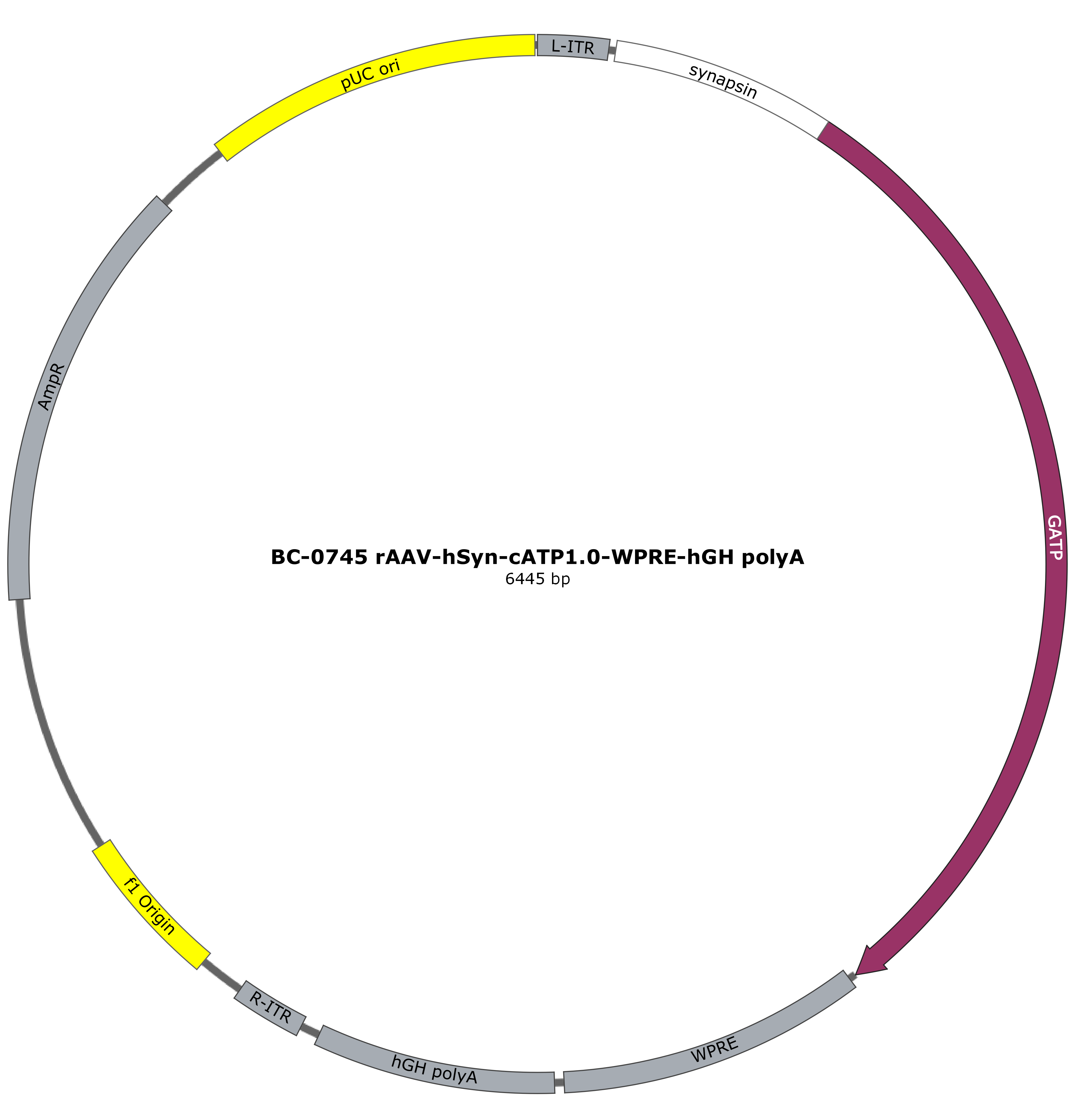 BC-0745 rAAV-hSyn-cATP1.0  