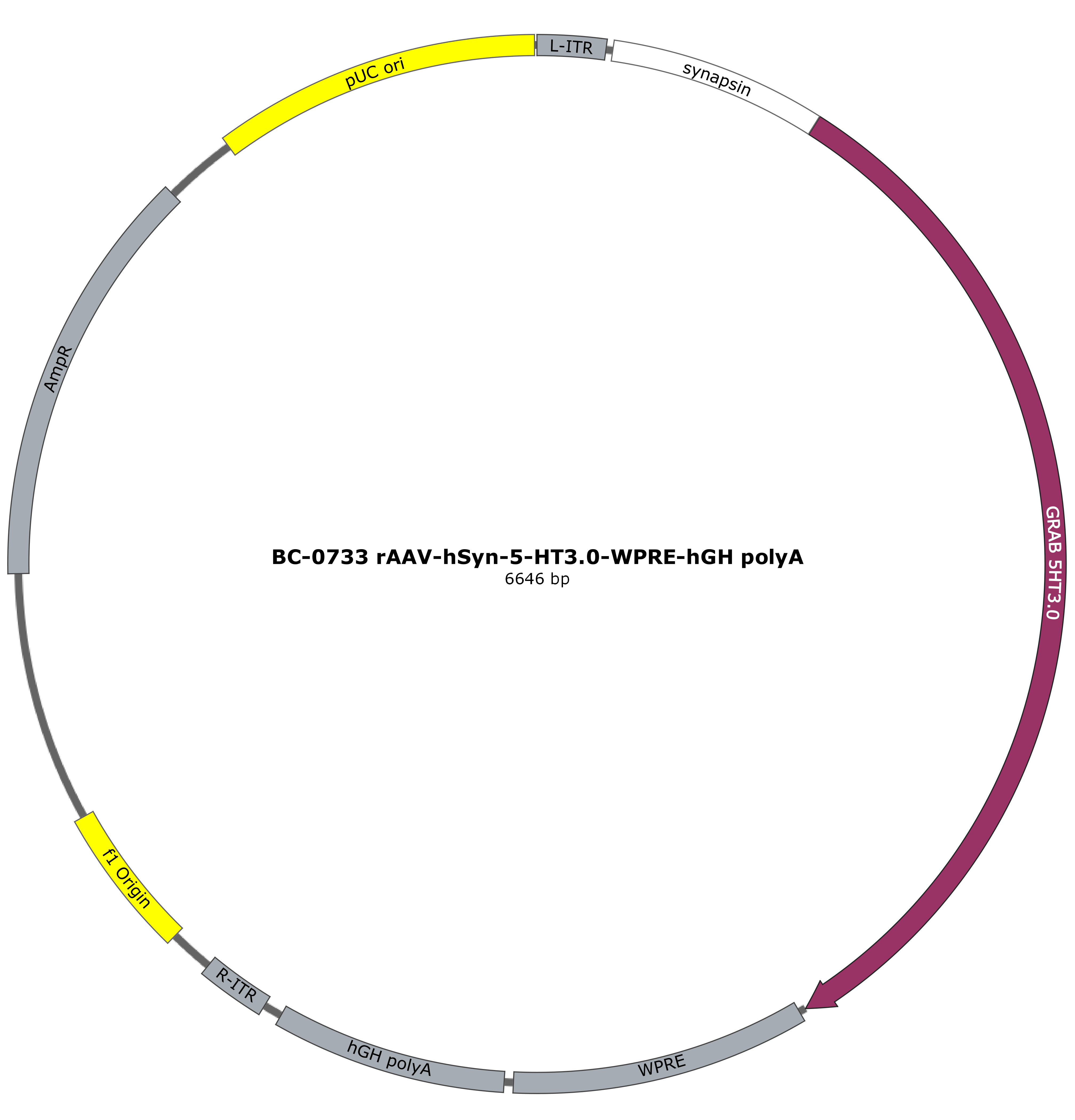 BC-0733 rAAV-hSyn-5-HT3.0  