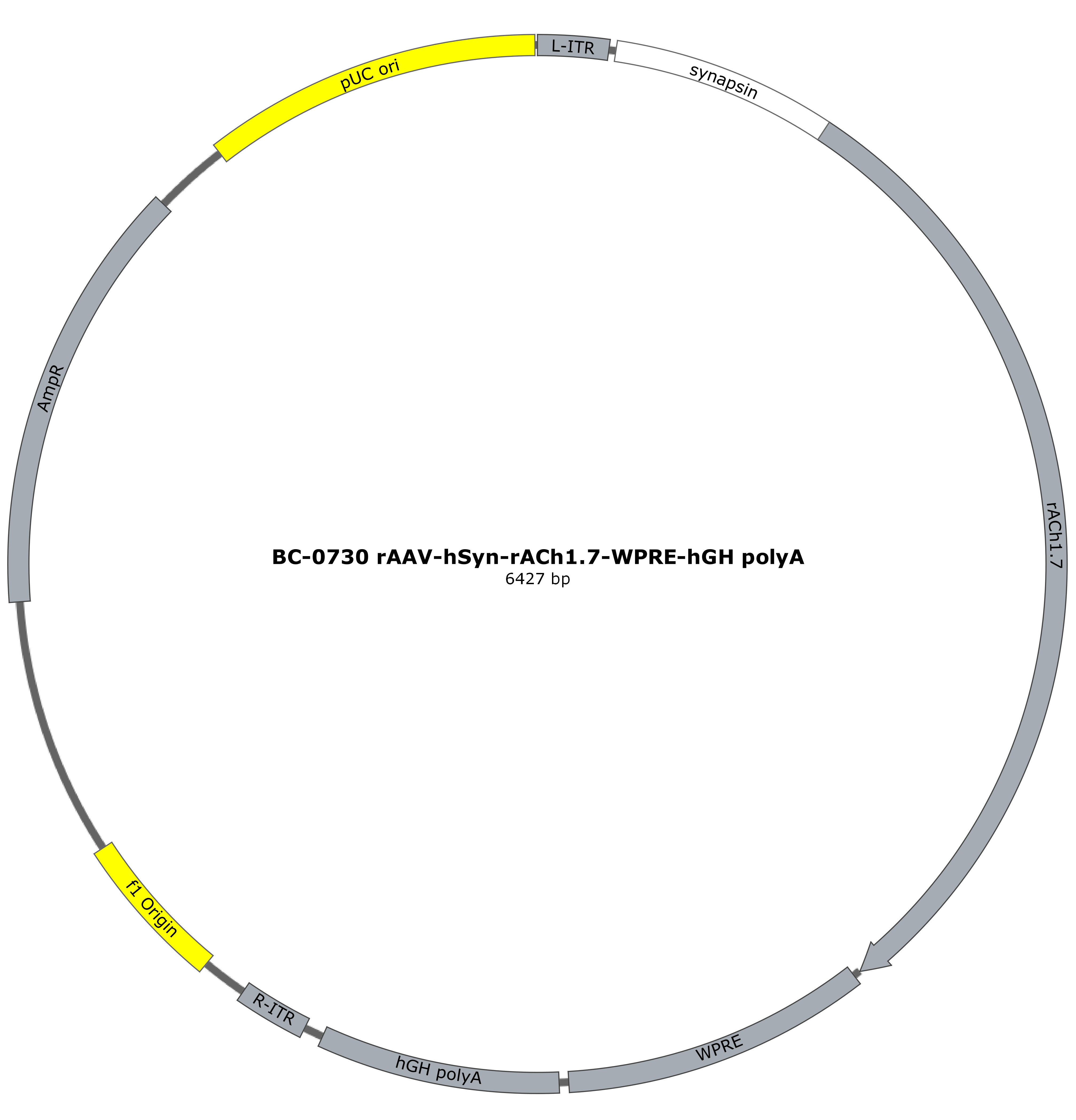 BC-0730 rAAV-hSyn-rACh1.7  