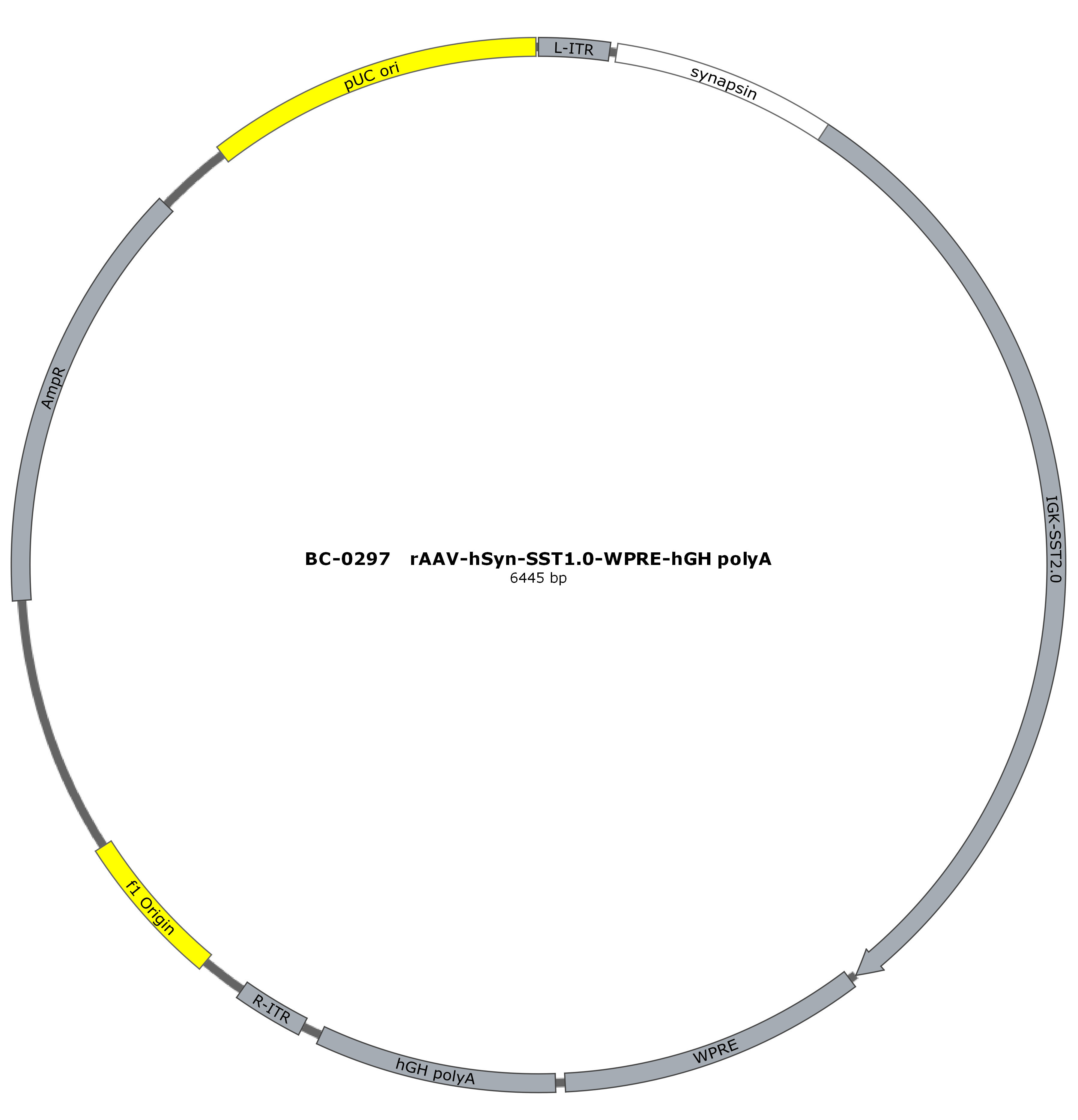 BC-0297  rAAV-hSyn-SST1.0  