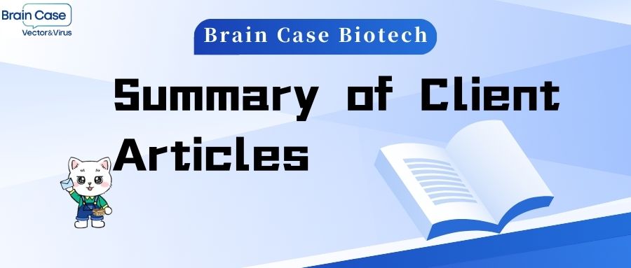 Virus Vector - Viral Vector Production - BrainCase