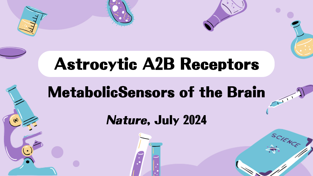 Literature Review | Nature | Adenosine Signaling in Astrocytes Coordinates Brain Metabolism and Function