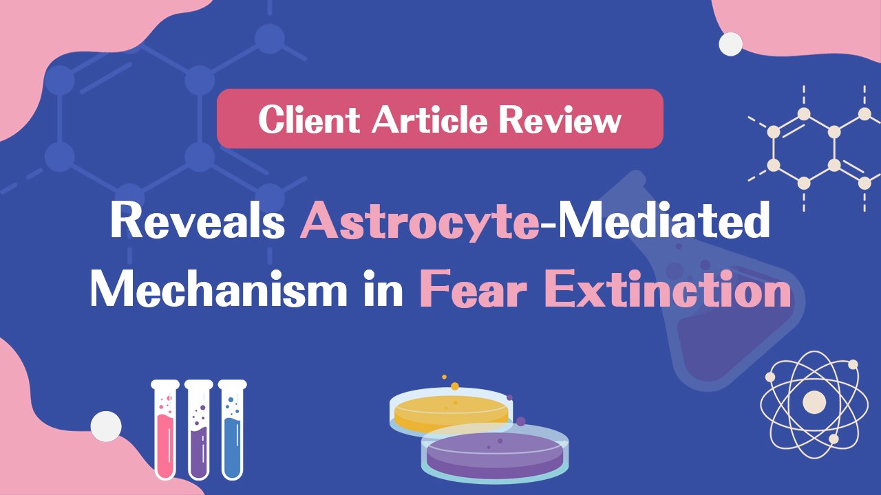 Customer Publication | Sci Adv | Team of Zhong Chen & Yi Wang from Zhejiang Chinese Medical University Reveals Astrocyte-Mediated Mechanism in Fear Extinction