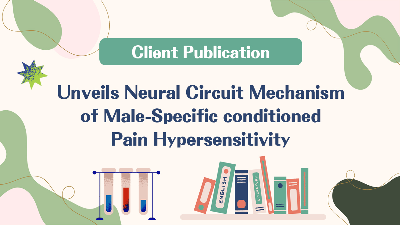 Client Publication | Nature Communications | USTC Team Led by Zhi Zhang, Juan Li, and Peng Cao Unveils Neural Circuit Mechanism of Male-Specific Conditioned Pain Hypersensitivity
