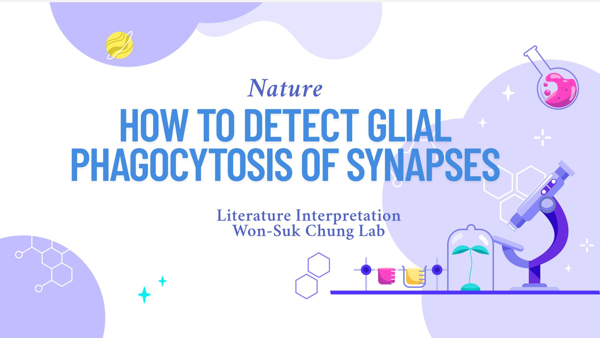 Literature Interpretation | Nature | How to Detect Glial Phagocytosis of Synapses