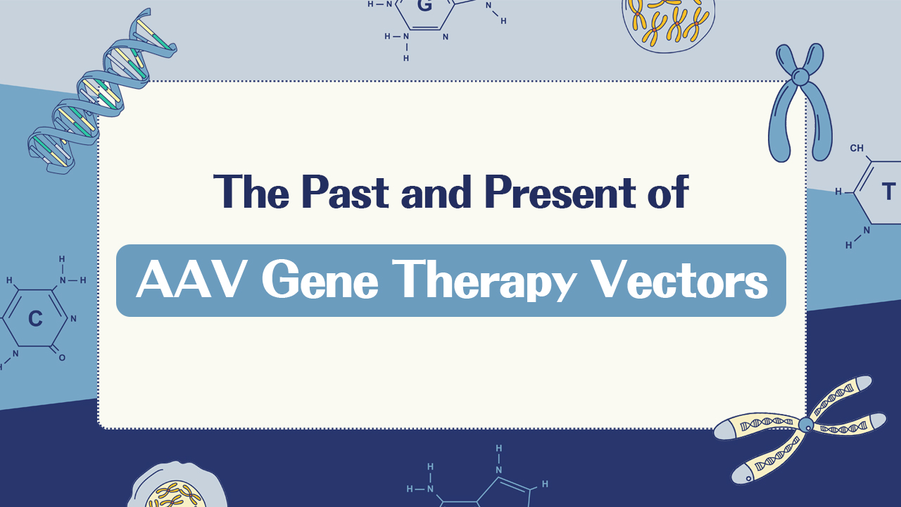 Nature Review: The Past and Present of AAV Gene Therapy Vectors