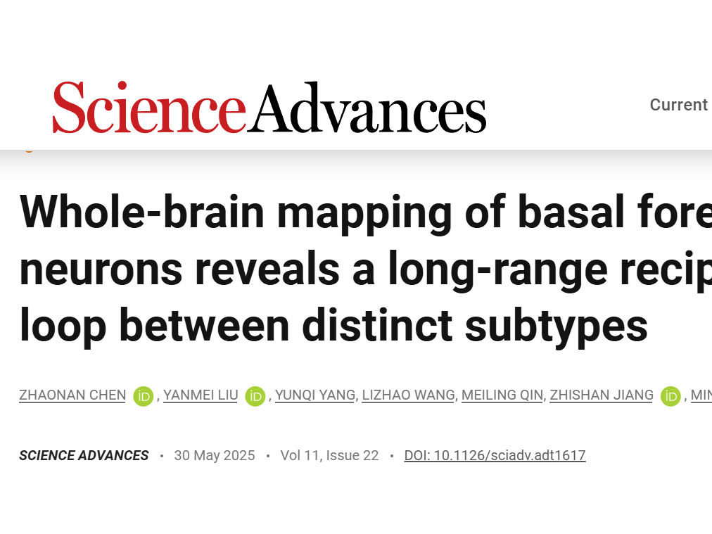 客户文章︱Sci. Adv.︱上交大张思宇与中科院神经所徐敏合作揭示基底前脑胆碱能神经元亚型的全脑输入-输出图谱