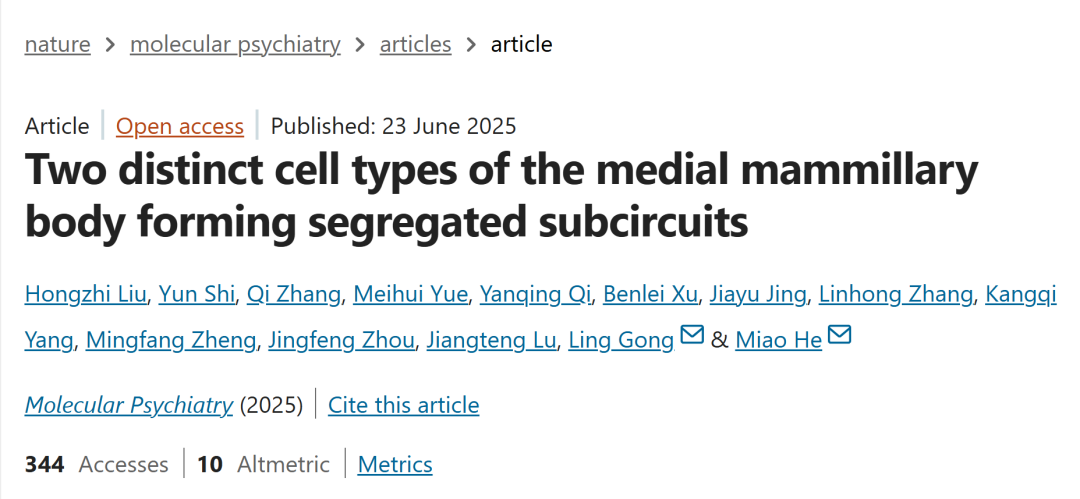 Mol. Psychiatry | Team Led by Miao He and Ling Gong Reveals Independent Circuits and Behavioral Regulation Mechanisms of Two Neuronal Subtypes in the Medial Mammillary Body