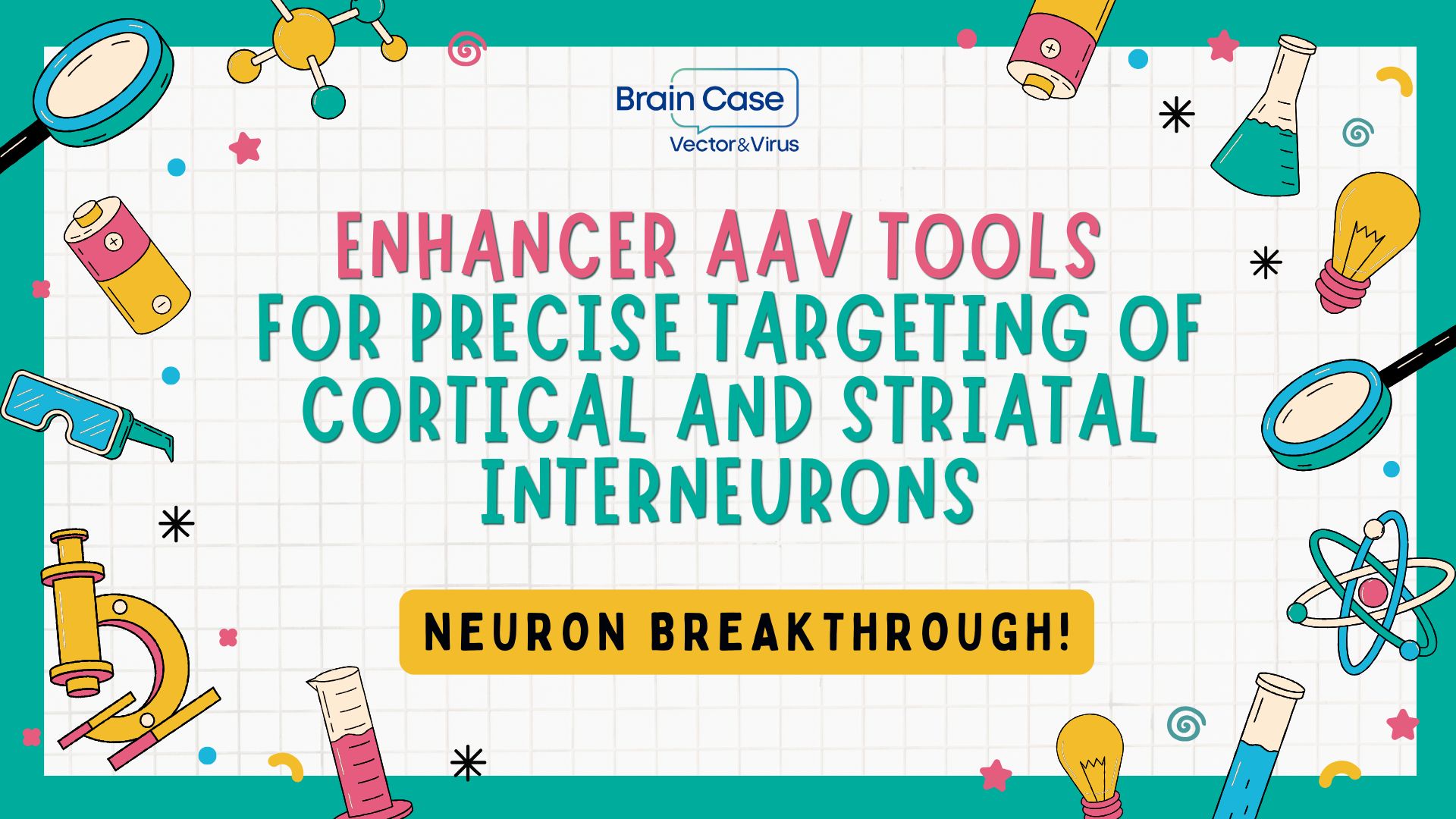 Neuron Breakthrough! Furlanis, Hunker, and colleagues develop novel enhancer AAV tools for precise targeting of cortical and striatal interneurons
