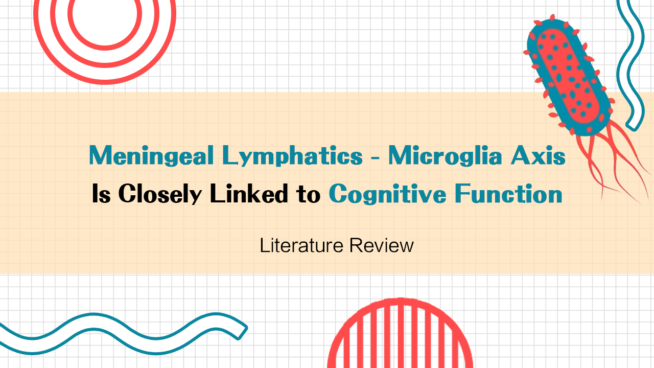 Literature Review | Cell | Meningeal Lymphatics–Microglia Axis Is Closely Linked to Cognitive Function