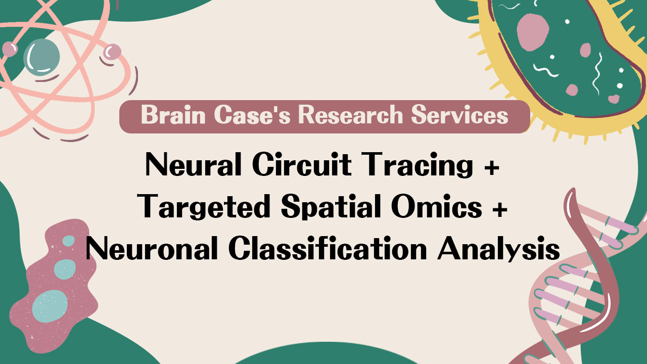 Research Services | Neural Circuit Tracing + Targeted Spatial Omics + Neuronal Classification Analysis (with Case Studies)
