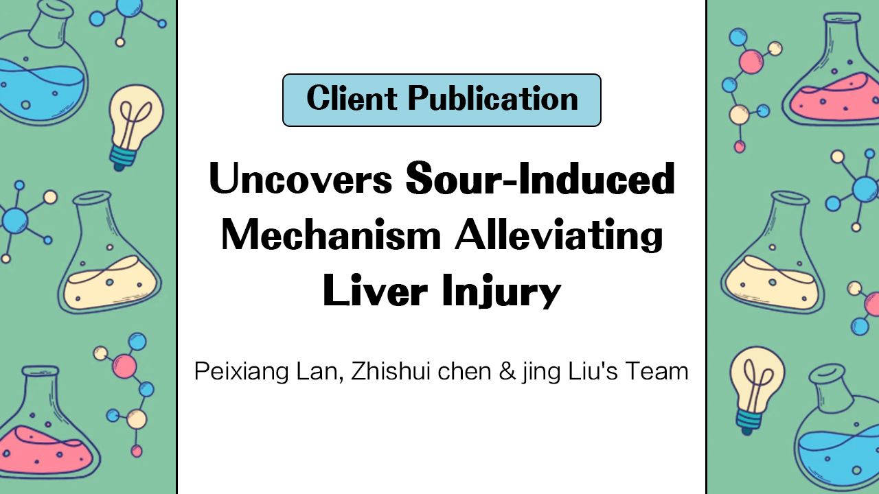 Client Publication | IF=33, J. Hepatol. | Peixiang Lan, Zhishui Chen & Jing Liu's Team Uncovers Sour-Induced Mechanism Alleviating Liver Injury