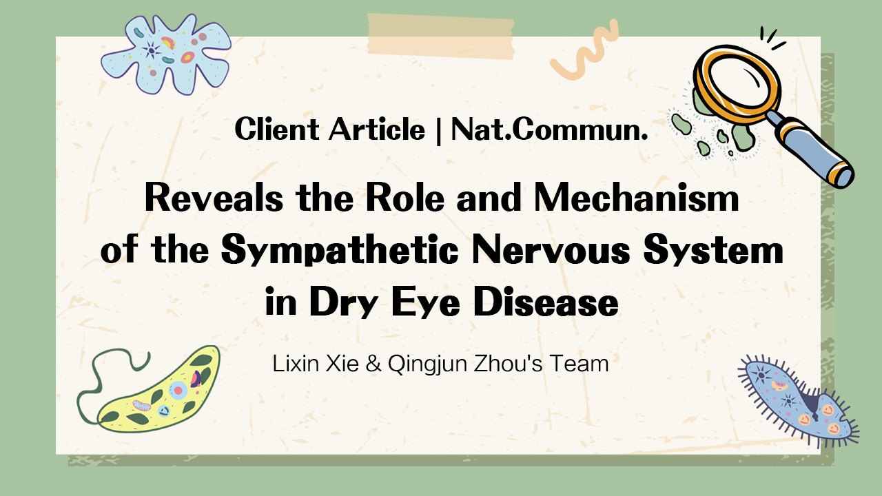Client Article | Nat. Commun. | Lixin Xie & Qingjun Zhou's Team Reveals the Role and Mechanism of