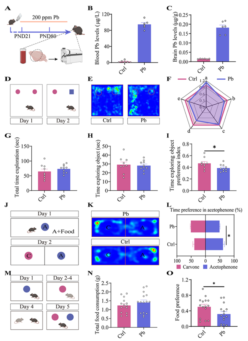 Client Article | J Hazard Mater | Hui-Li Wang’s Team at Hefei University of Technology Reveals the Mechanism of Pb-Induced Non-Spatial Memory Deficits