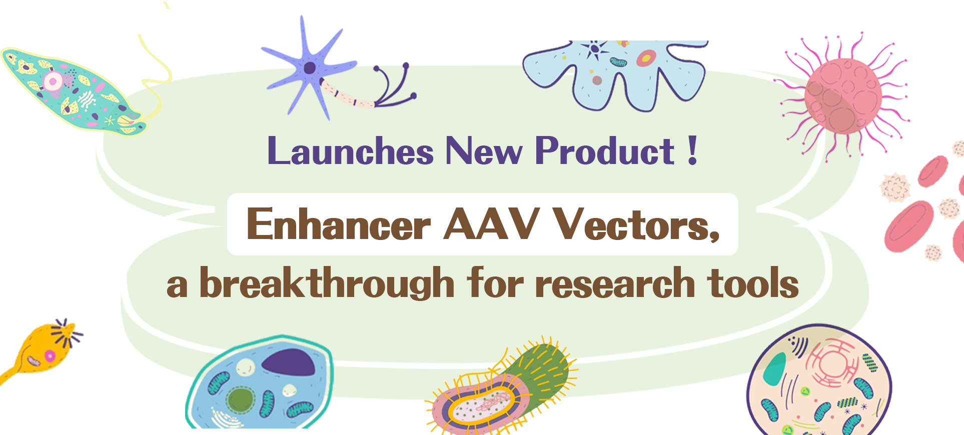 [Research Tool Highlight] Featured in Cell! Brain Case launches new product — Enhancer AAV Vectors, a breakthrough for  research Tool !