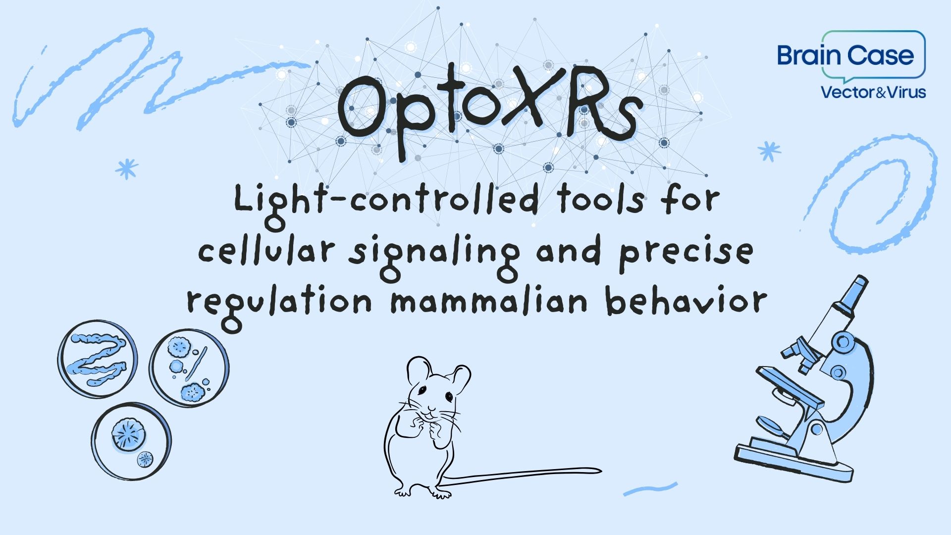 Literature Interpretation | Nature | OptoXRs: Light-controlled tools for cellular signaling and precise regulation mammalian behavior