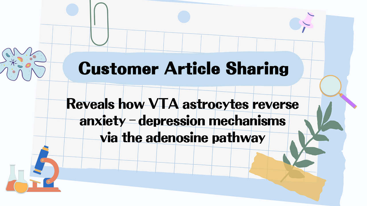 Customer Article丨Cell Reports丨Yi-Zheng Wang’s team from the Academy of Military Medical Sciences reveals how VTA astrocytes reverse anxiety–depression mechanisms via the adenosine pathway