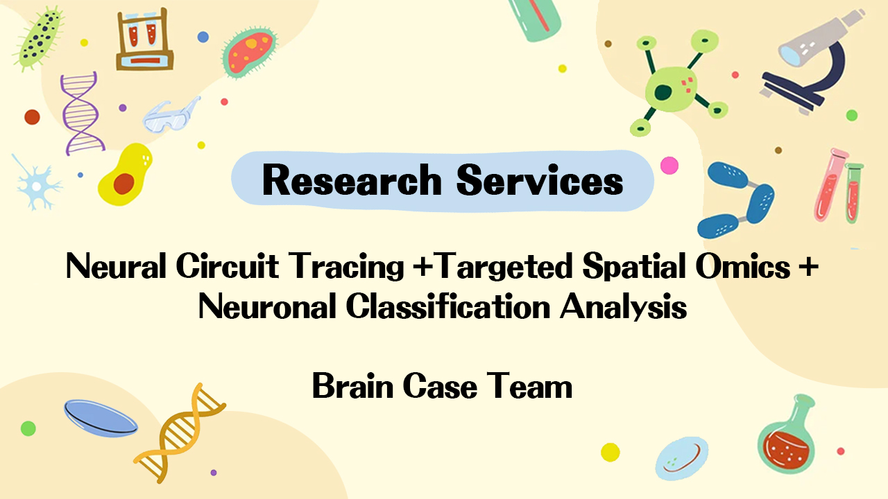 Research Services | Neural Circuit Tracing + Targeted Spatial Omics + Neuronal Classification Analysis (with Case)