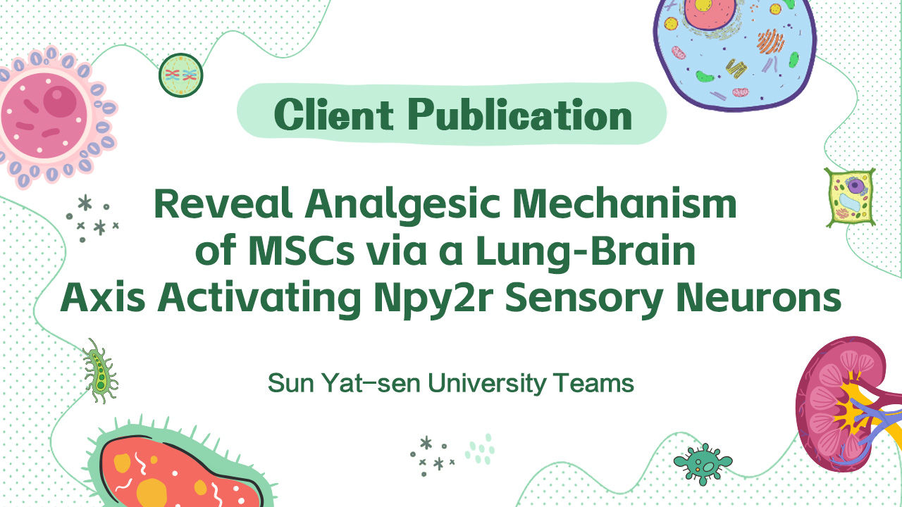Client Publication | Adv. Sci. | Sun Yat-sen University Teams of Peng Xiang, Xiaoran Zhang, and Xia F