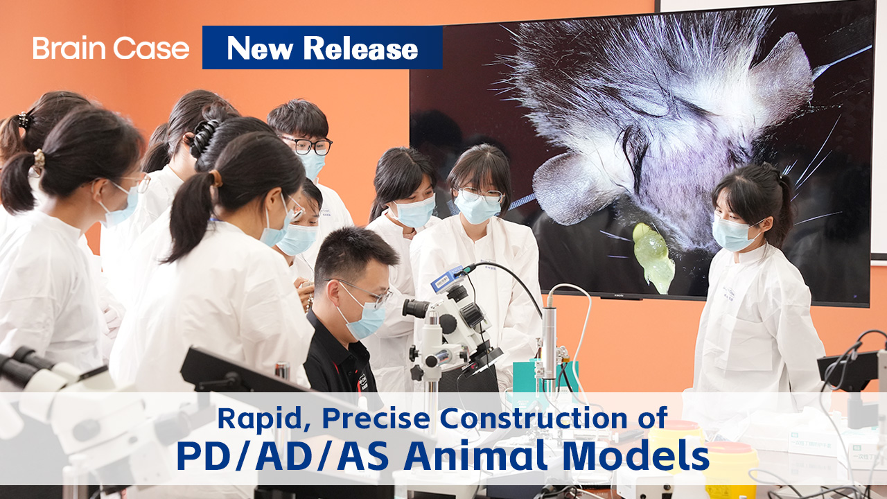 Brain Case New Release｜Rapid, Precise Construction of PD/AD/AS Animal Models