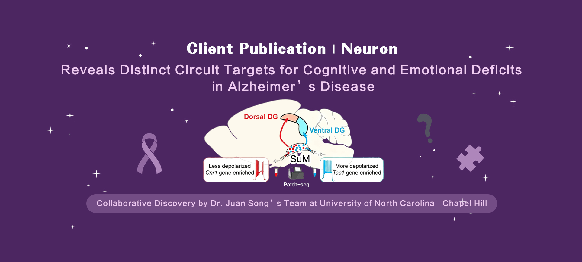 Client Publication | Neuron | Collaborative Discovery by Dr. Juan Song’s Team at UNC Reveals Distinct Circuit Targets for Cognitive and Emotional Deficits in Alzheimer’s Disease