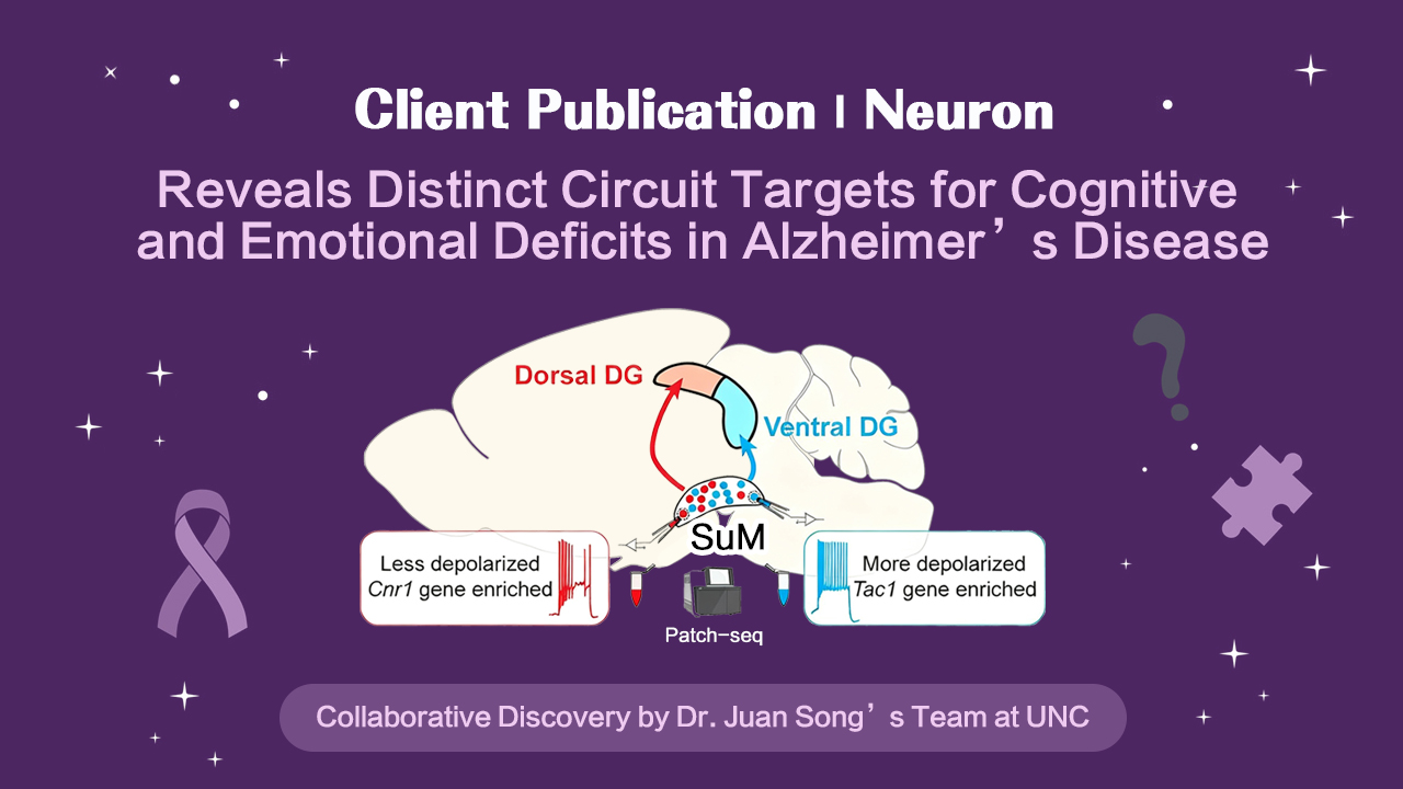 Client Publication | Neuron | Collaborative Discovery by Dr. Juan Song’s Team  Reveals Distinct Cir