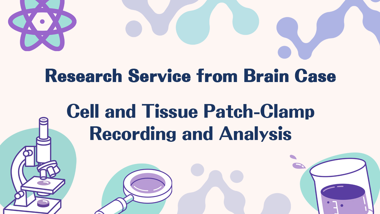 Research Service | Cell and Tissue Patch-Clamp Recording and Analysis Services