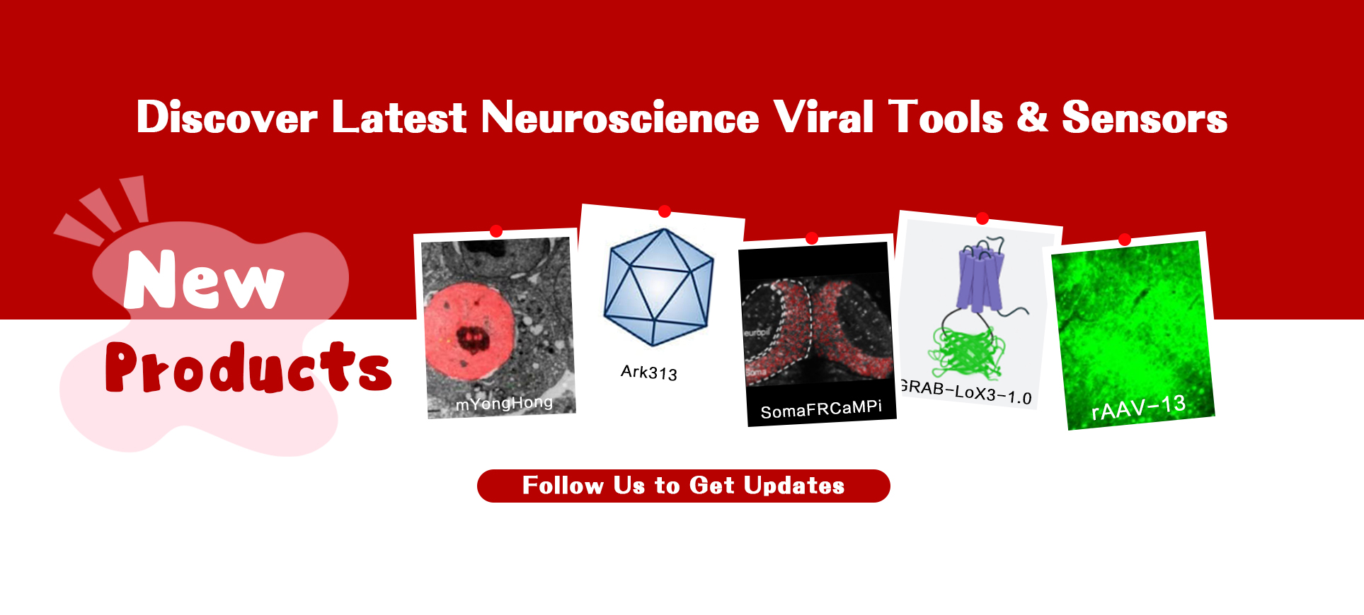 Latest Neuroscience Tools from BrainCase — Precision Viral Vectors & Genetic Sensors