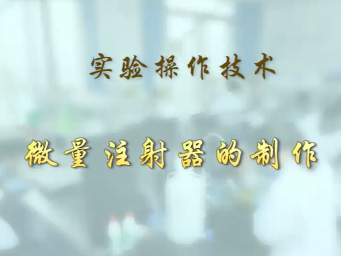 【布林凯斯实验操作技术教学】02 微量注射器的制作