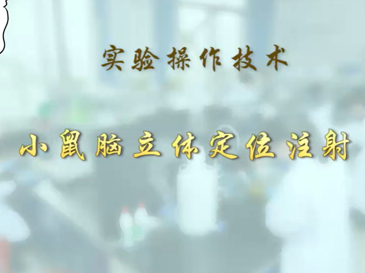 【布林凯斯实验操作技术教学】03 小鼠脑立体定位注射