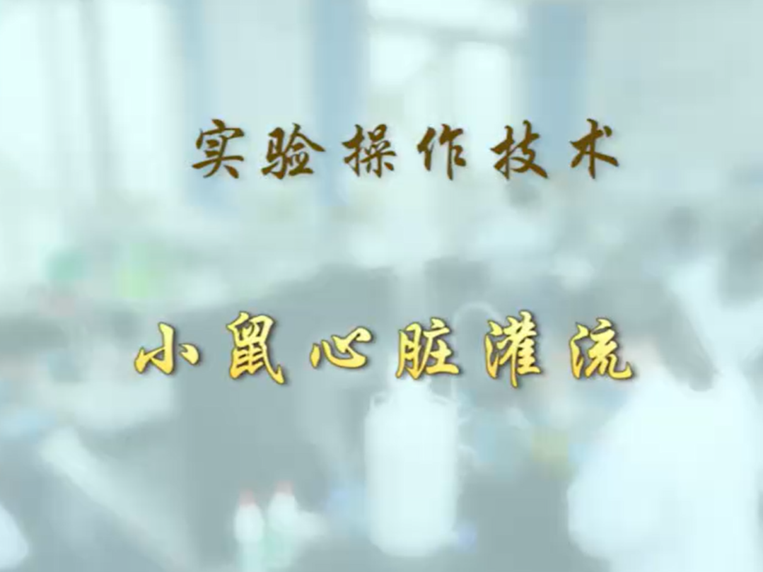 【布林凯斯实验操作技术教学】05 小鼠心脏灌流