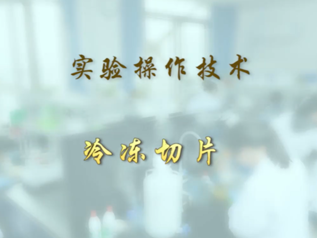 【布林凯斯实验操作技术教学】06 冷冻切片