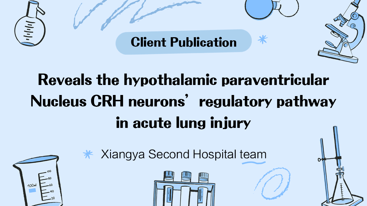 Client Publication | Nature Communications | Xiangya Second Hospital team led by Dr. Ruping Dai and Dr. Hui Li reveals the hypothalamic paraventricular nucleus CRH neurons’ regulatory pathway in acute lung injury