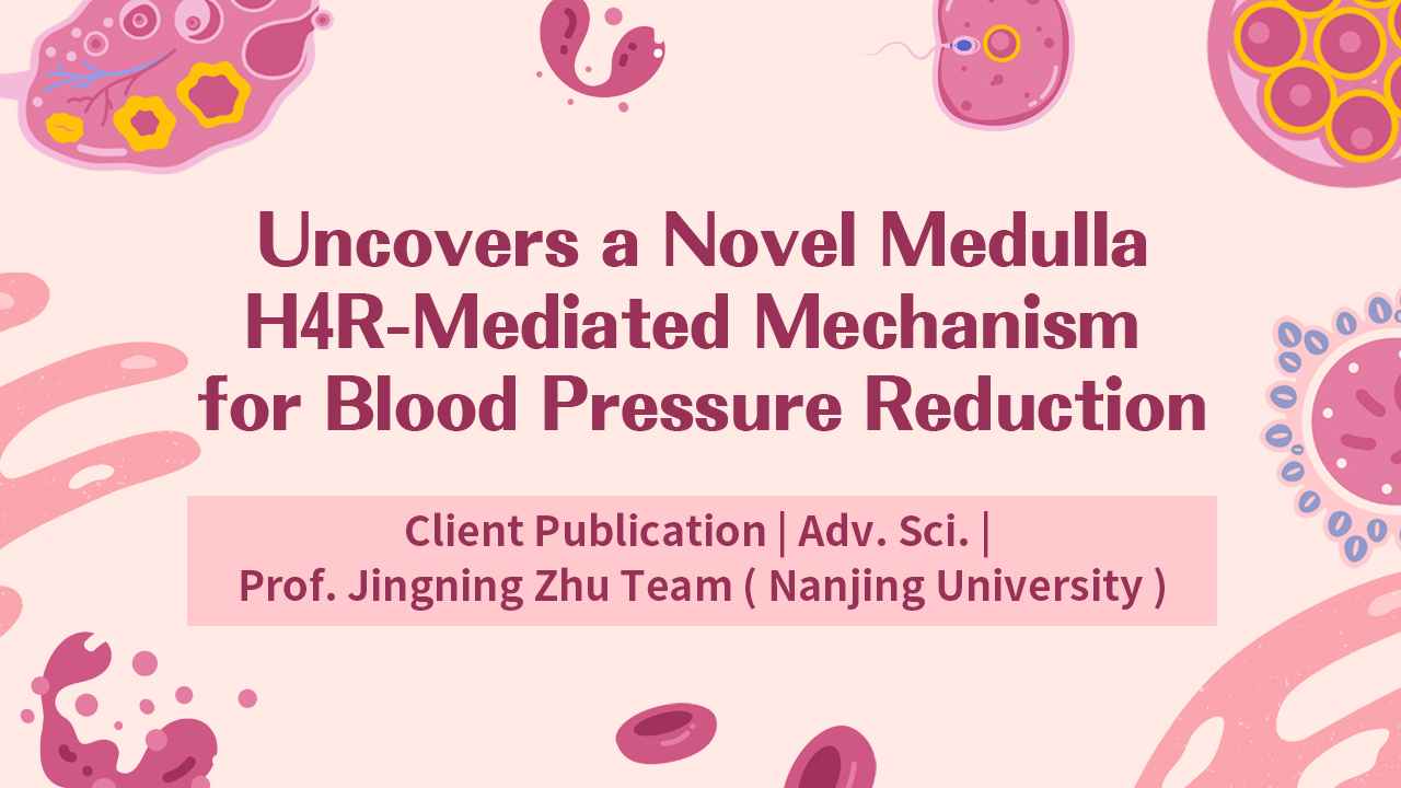 Client Publication | Adv. Sci. | Nanjing University Team Led by Prof. Jingning Zhu Uncovers a Novel M