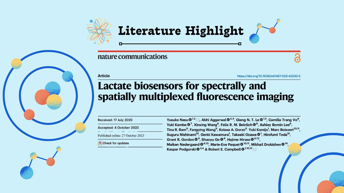 Literature Highlight | “Red–Green Sensors” Enable Full-Field, Dynamic Visualization of L-Lactate Metabolism