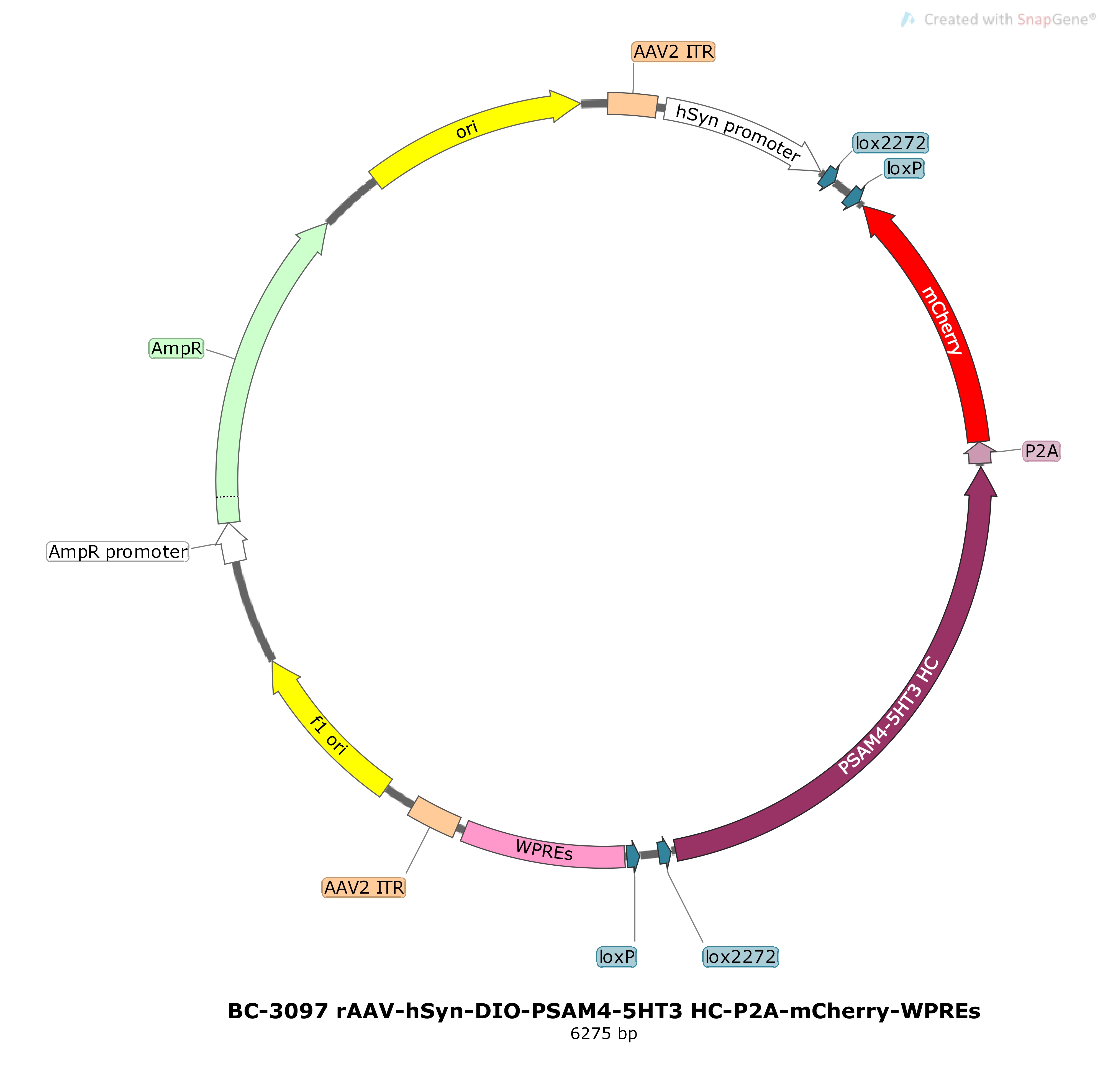 BC-3097 rAAV-hSyn-DIO-PSAM4-5HT3 HC-P2A-mCherry