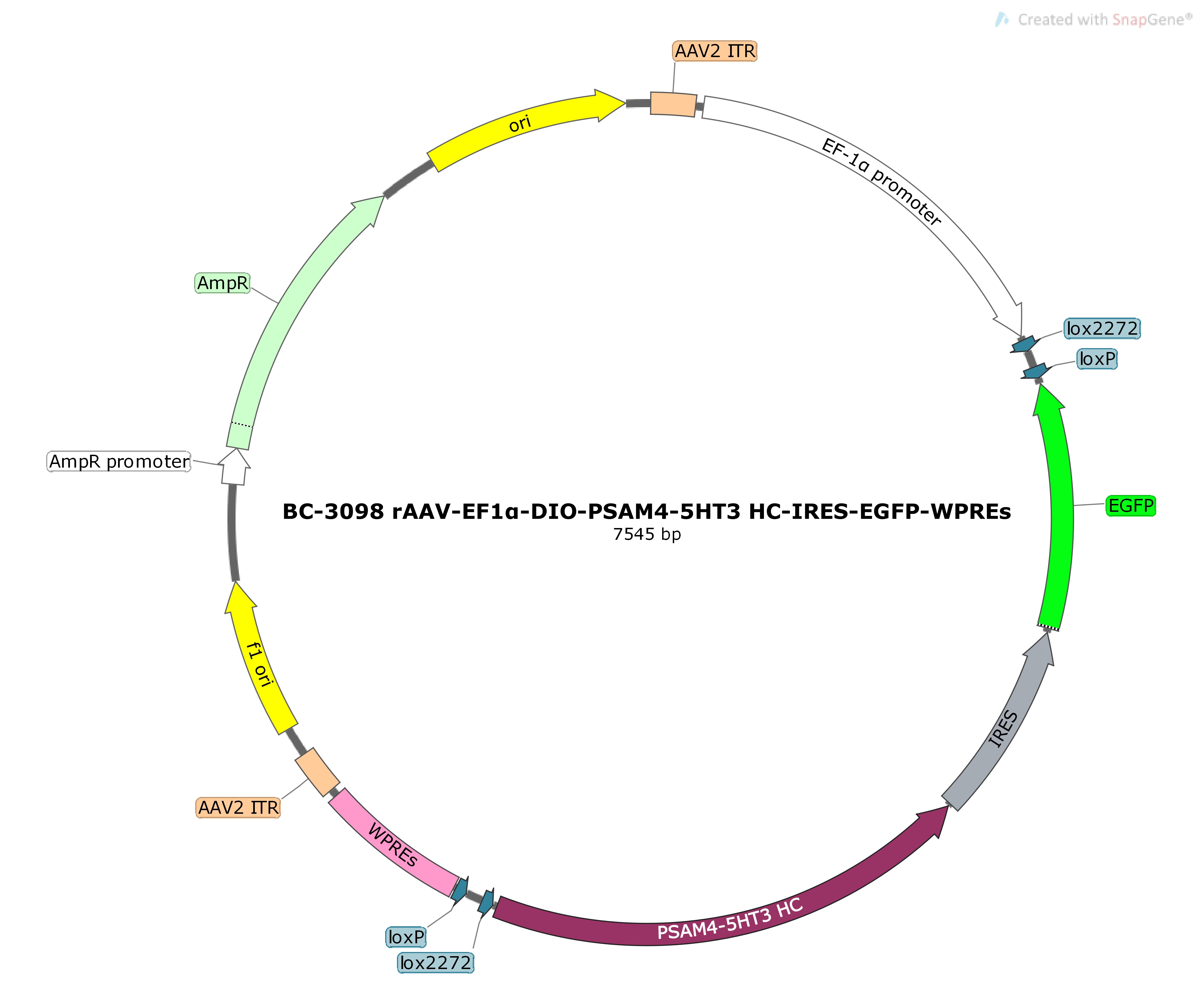 BC-3098 rAAV-EF1α-DIO-PSAM4-5HT3 HC-IRES-EGFP