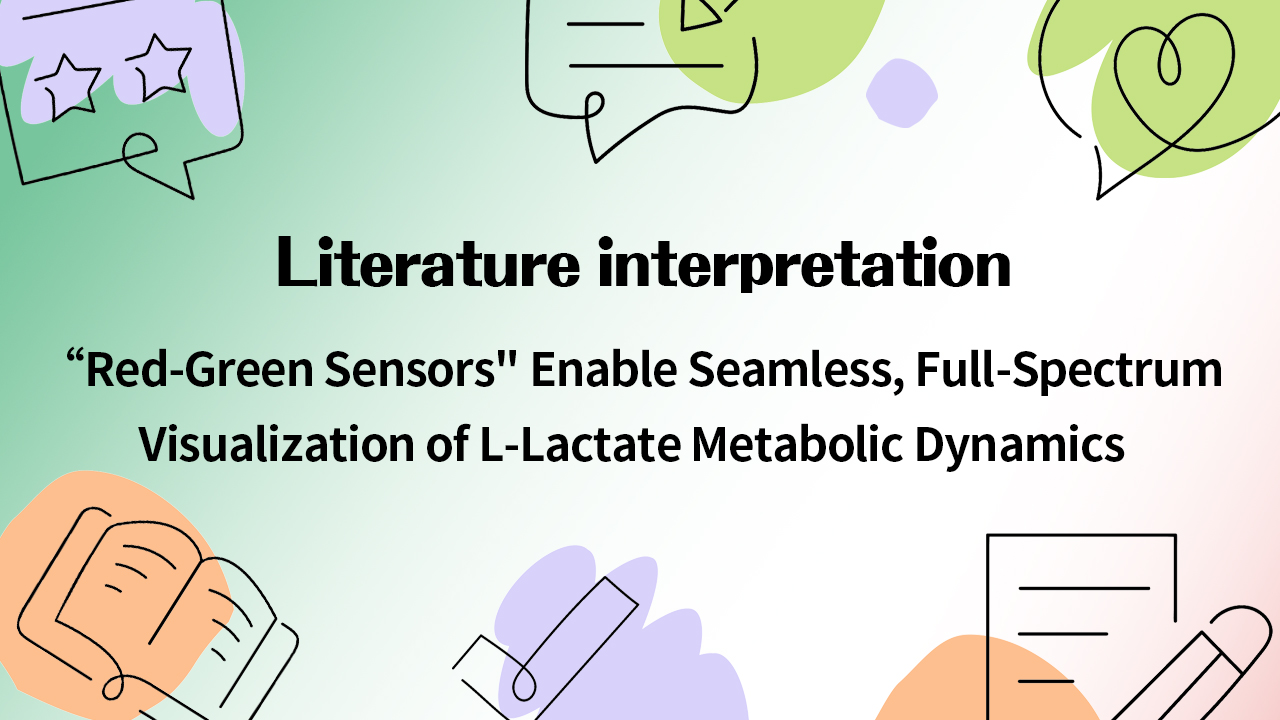 Literature Interpretation | “Red–Green Sensors” Enable Seamless, Full-Spectrum Visualization of L-Lactate Metabolic Dynamics