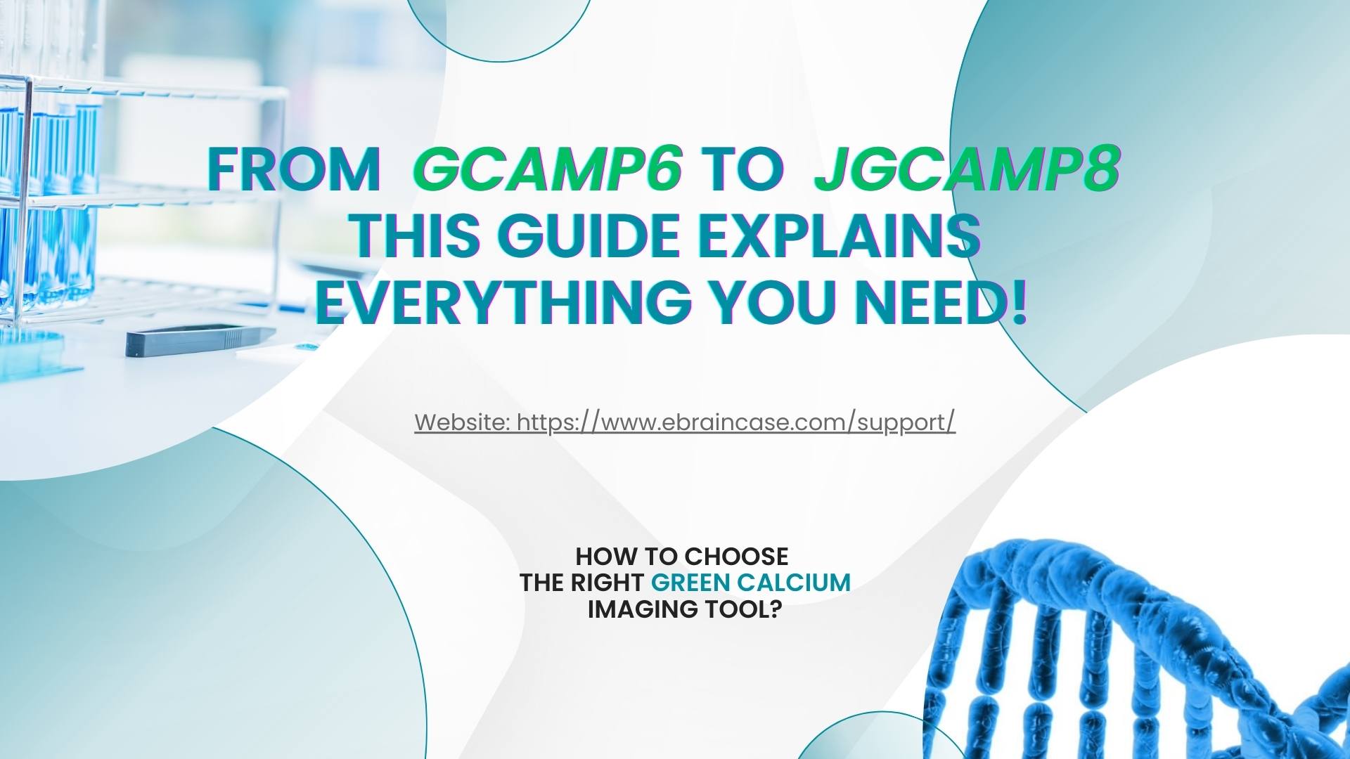 How to Choose the Right Green Calcium Imaging Tool? From GCaMP6 to jGCaMP8 — This Guide Explains Everything You Need!