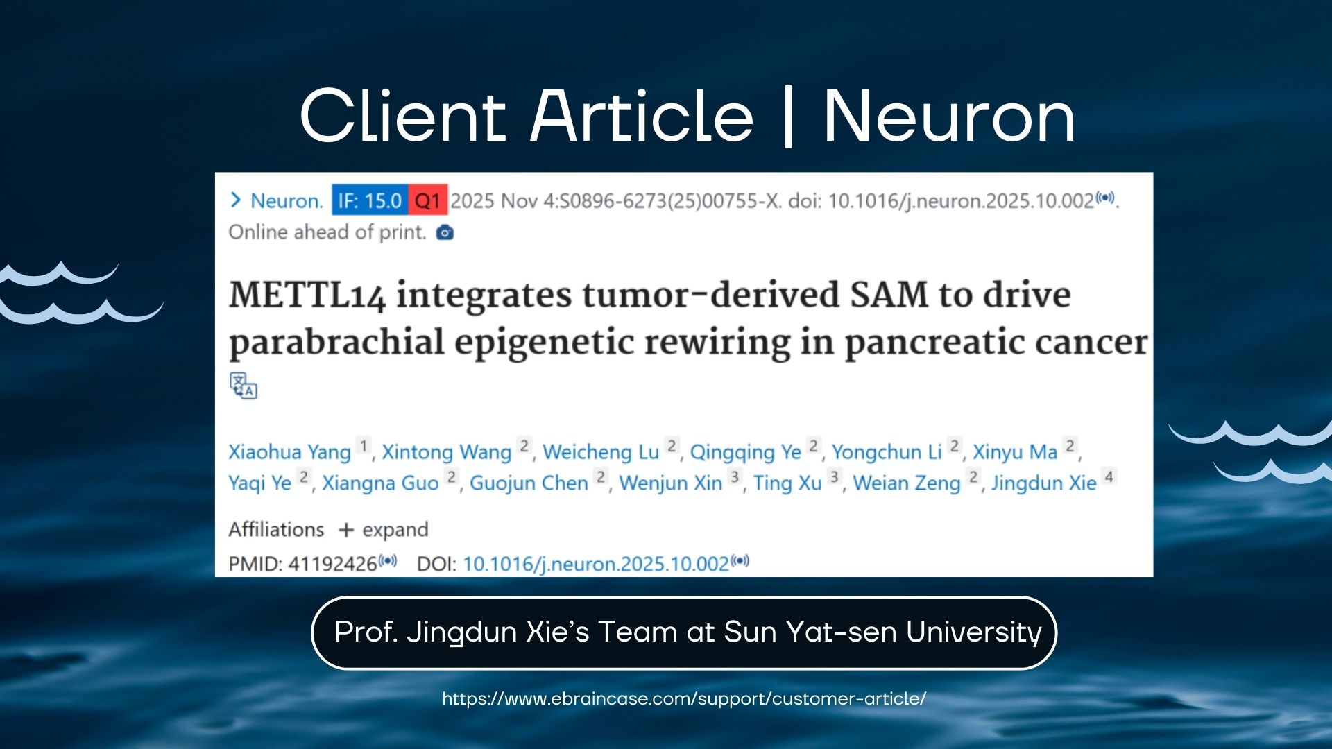 Client Article | Neuron | Prof. Jingdun Xie’s Team at Sun Yat-sen University Decodes PDAC Comorbidity: How the Tumor–Metabolism–Neuron Axis Drives Pain and Depression