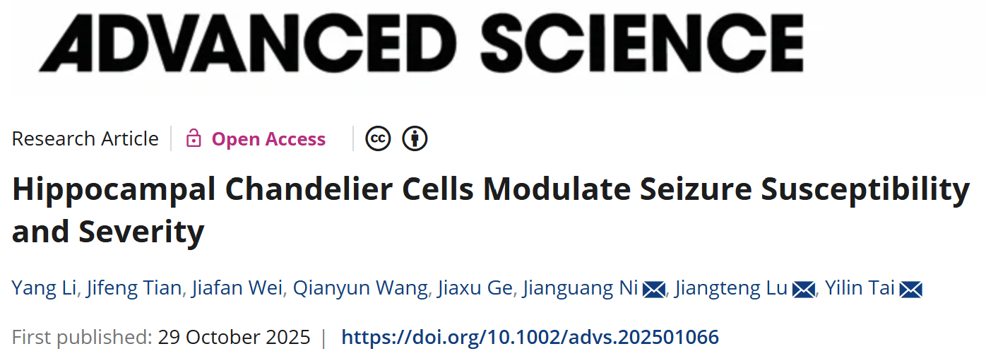 客户文章丨Adv. Sci.丨复旦脑院邰一琳/倪剑光课题组揭示海马吊灯细胞ChCs抗癫痫机制