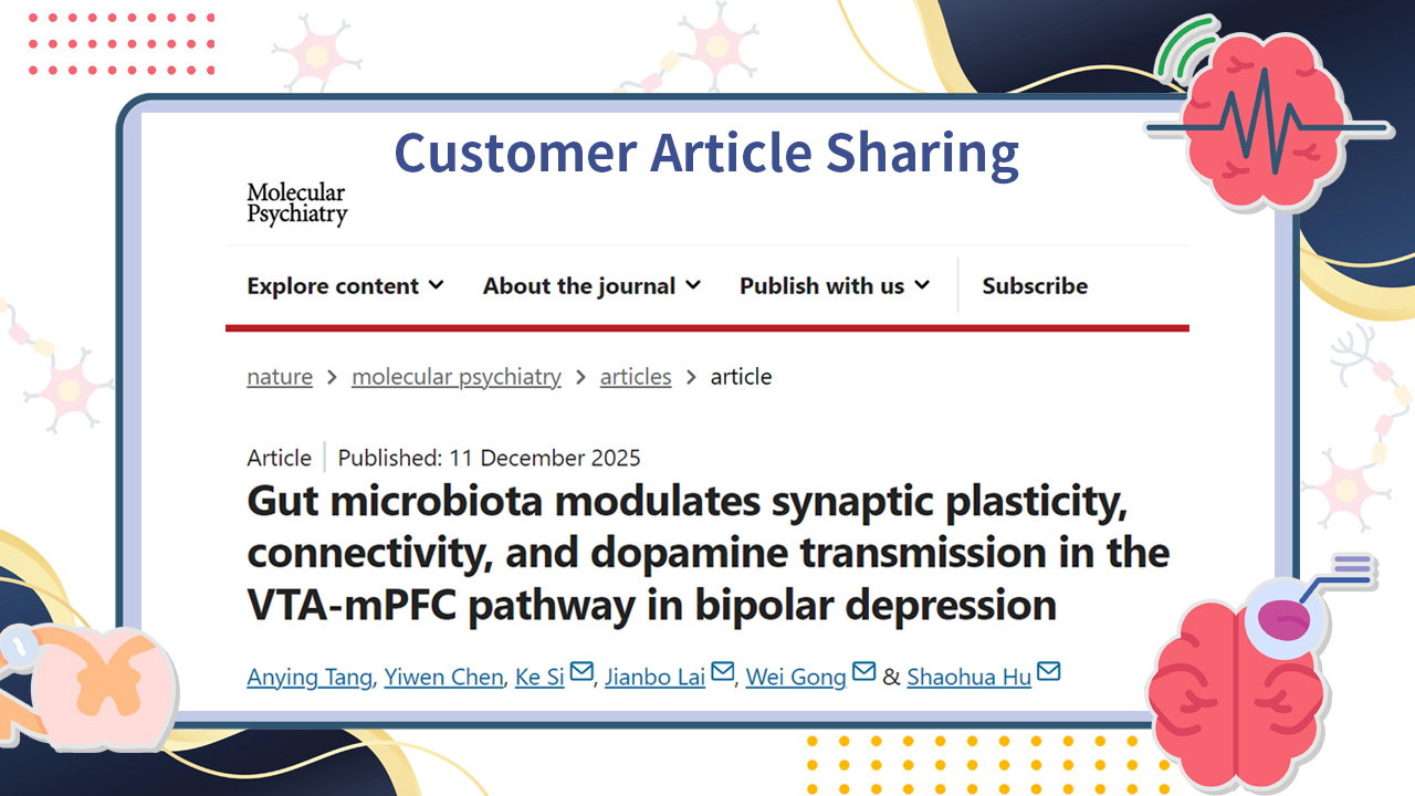 Client Article | Molecular Psychiatry | Zhejiang University Team Reveals That Gut Microbiota Contribute to the Pathology of Bipolar Depression by Regulating Synaptic Plasticity and Dopamine Transmission in the VTA–mPFC Pathway