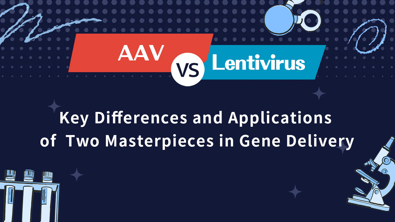 AAV vs. Lentivirus: Key Differences and Applications of  Two Masterpieces in Gene Delivery