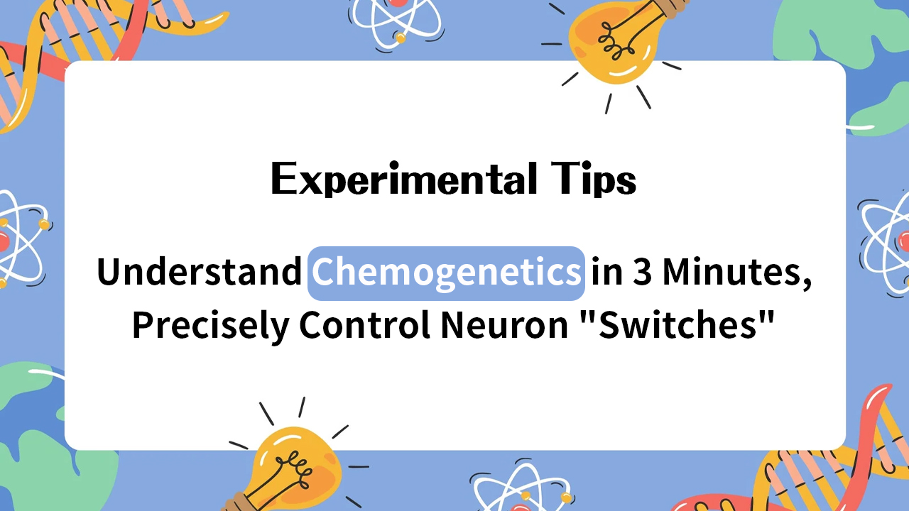 Experimental Tips | Understand Chemogenetics in 3 Minutes, Precisely Control Neuron "Switches"