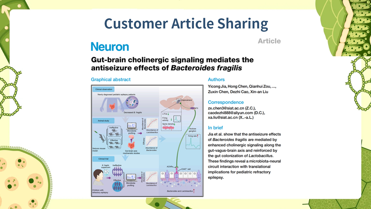 Client Article | Neuron | Xinan Liu/ Zuxin Chen Team from Shenzhen Institute of Advanced Technology Reveals "Gut-Brain" Pathway Mediating the Antiepileptic Effects of Probiotics