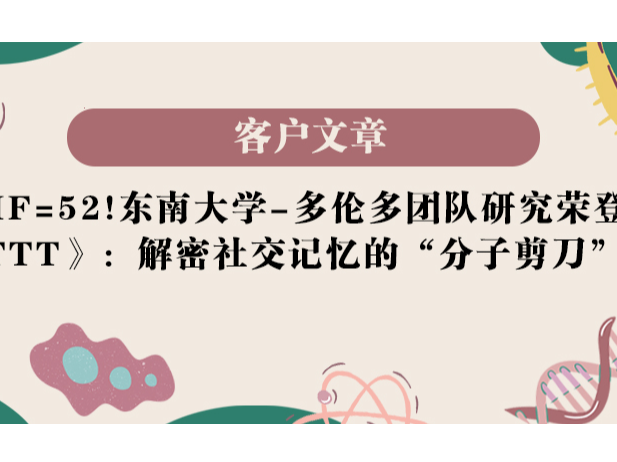 IF=52！东南大学-多伦多团队研究荣登《STTT》：解密社交记忆的“分子剪刀”机制